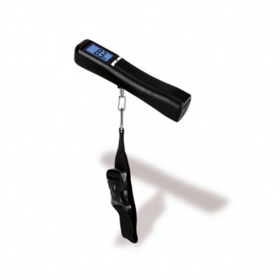 Hot Sale 50Kg Digital Battery Lcd Ss Platform Luggage Scale